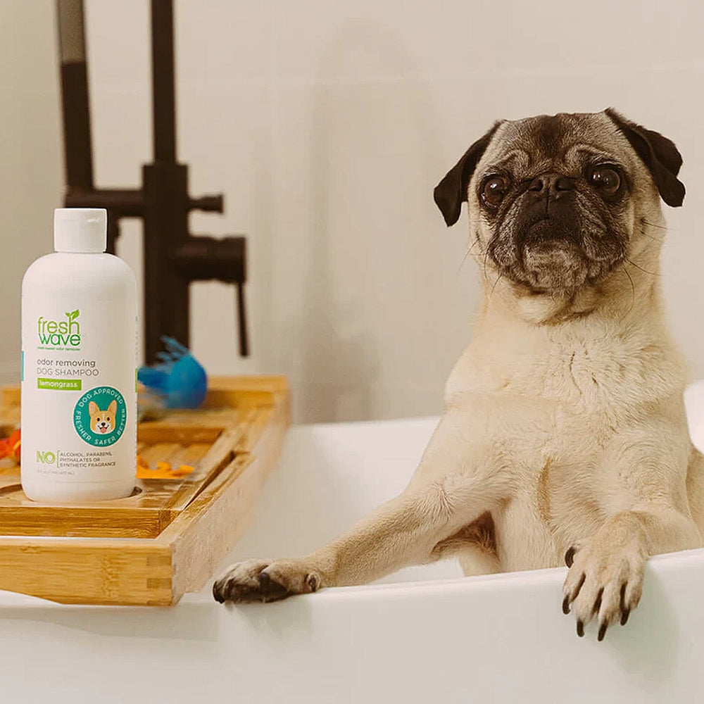 Fresh Wave Odor Removing Dog Shampoo 16 ounces