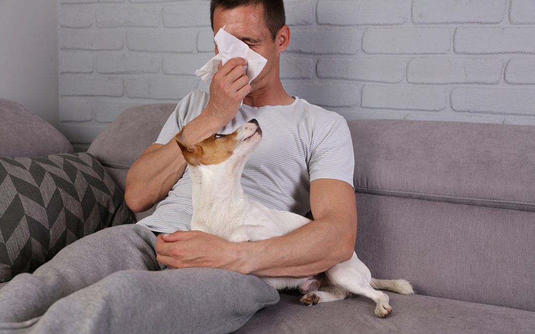 Home Air Purification Combats Allergies, Viruses