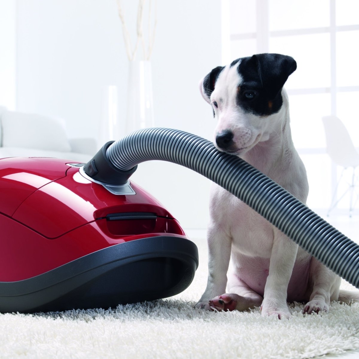 Miele HomeCare Collection - Buckhead Vacuums