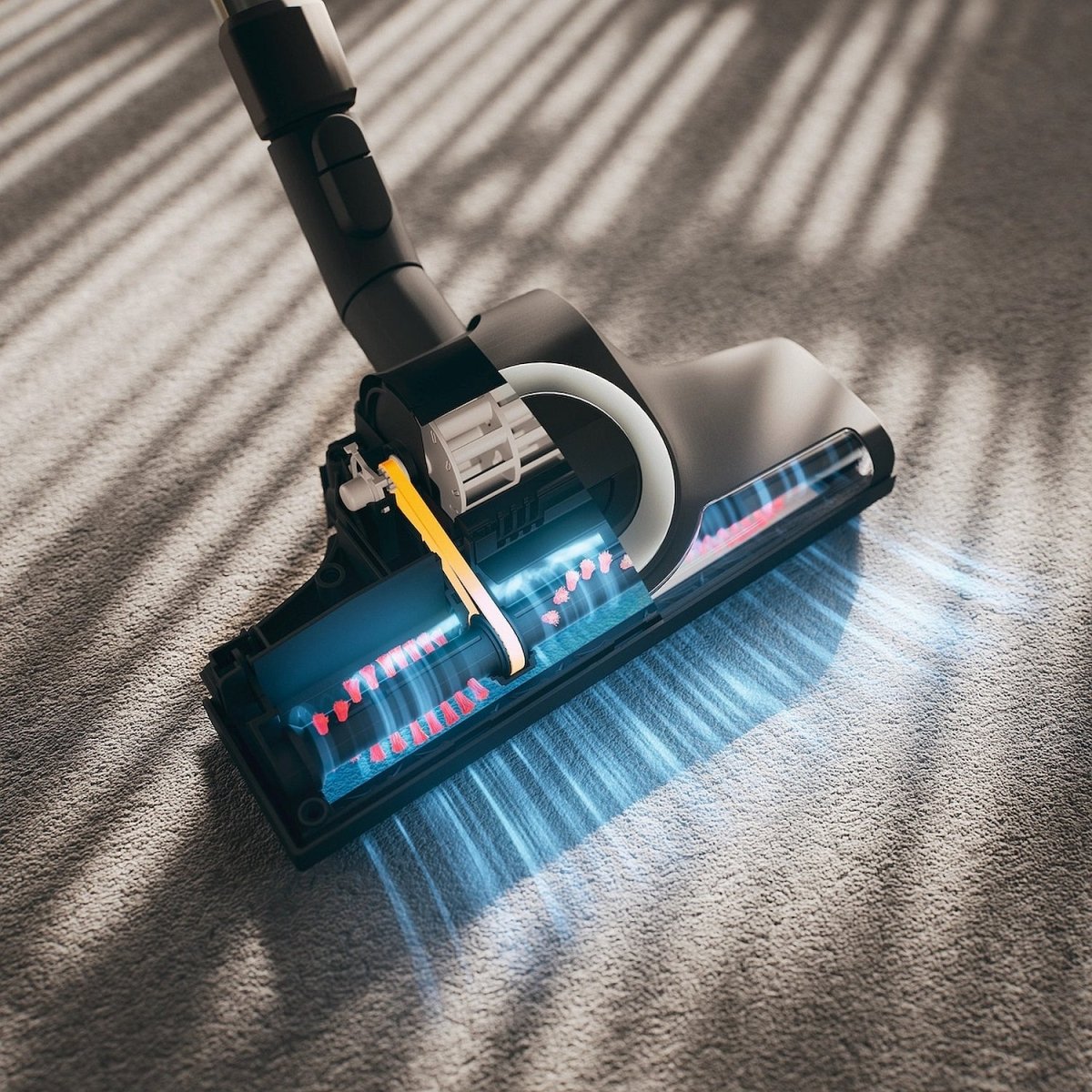 Miele Blizzard CX1 Turbo Team Bagless Canister Vacuum - Buckhead Vacuums