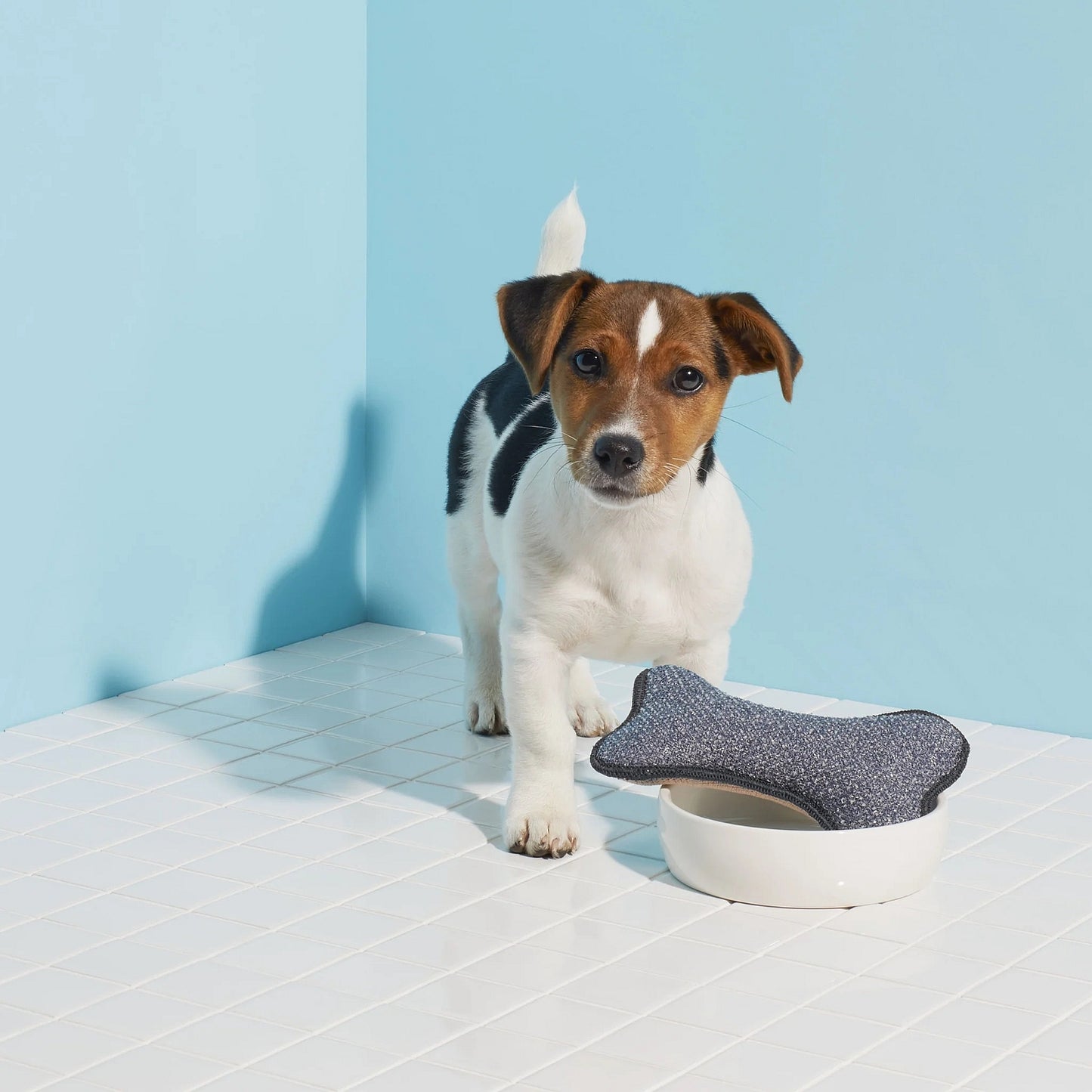 E - Cloth Pet Bowl Scrubber - Buckhead Vacuums